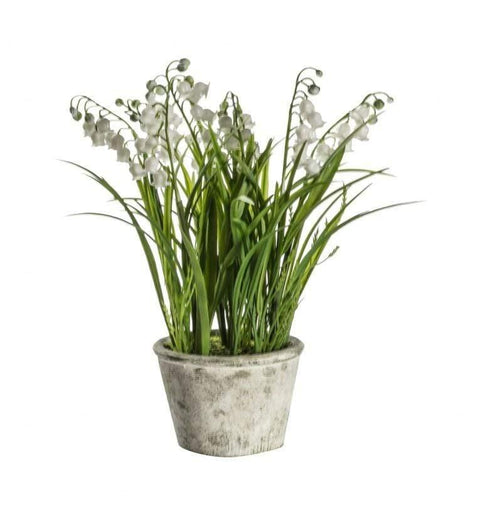 Potted Lily of the Valley Small Accessories Regency Studio 