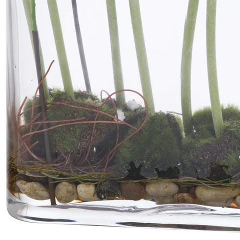 Ranunculus Arrangment In Glass Pot Accessories Hill Interiors 