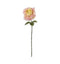 Rose Stem Ivory/Pink (3pk) Accessories Regency Studio 