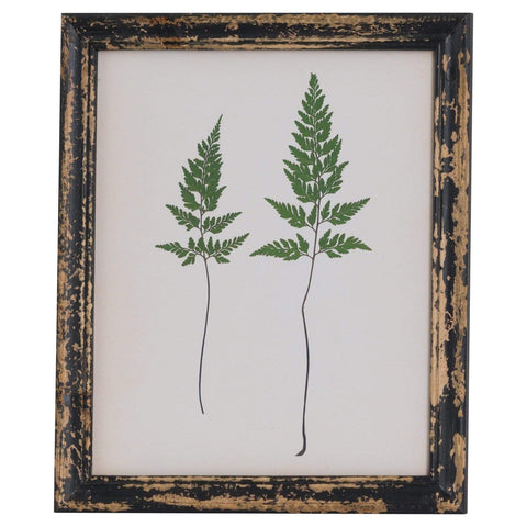 Rustic Framed Botanical Pair Of Ferns Picture Accessories Hill Interiors 