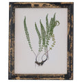 Rustic Framed Botanical Picture Accessories Hill Interiors 