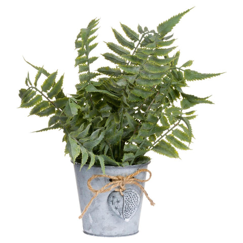 Sage Fern In A Tin Pot Accessories Hill Interiors 
