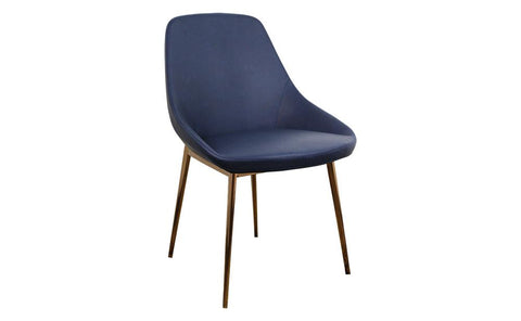 Set of 2 Lucia Dining Chairs - Blue Dining Chair Distinction Furniture 