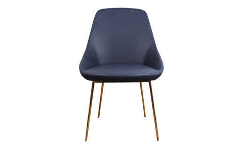 Set of 2 Lucia Dining Chairs - Blue Dining Chair Distinction Furniture 