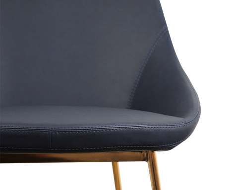 Set of 2 Lucia Dining Chairs - Blue Dining Chair Distinction Furniture 