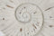 Shell Sculpture on a Stand by Lene Bjerre Decorative Lene Bjerre 