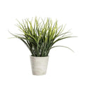 Spider Grass with Cement Pot Accessories Regency Studio 