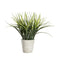 Spider Grass with Cement Pot Accessories Regency Studio 