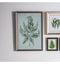 Spring Fern Framed Art Accessories Regency Studio 