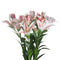 Stargazer Lily Accessories Hill Interiors 