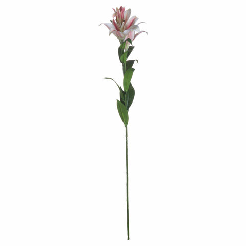 Stargazer Lily Accessories Hill Interiors 