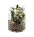 Succulent Garden In Glass Jar Accessories Regency Studio 