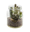Succulent Garden In Glass Jar Accessories Regency Studio 