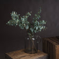 Variegated Eucalyptus Accessories Hill Interiors 