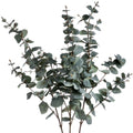 Variegated Eucalyptus Accessories Hill Interiors 