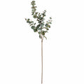 Variegated Eucalyptus Accessories Hill Interiors 