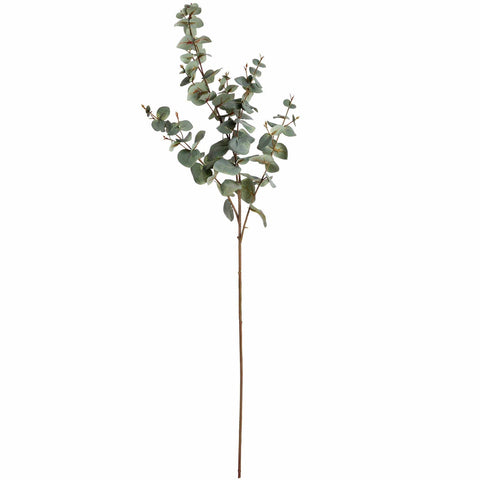 Variegated Eucalyptus Accessories Hill Interiors 