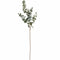 Variegated Eucalyptus Accessories Hill Interiors 