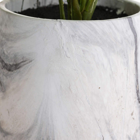 Variegated Leaf Dieffenbachia House Plant Accessories Hill Interiors 