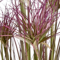 Water Bamboo Grass 24 Inch Accessories Hill Interiors 