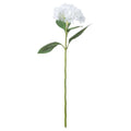 White Classic Hydrangea Accessories Hill Interiors 