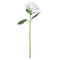 White Classic Hydrangea Accessories Hill Interiors 