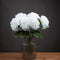 White Classic Hydrangea Accessories Hill Interiors 