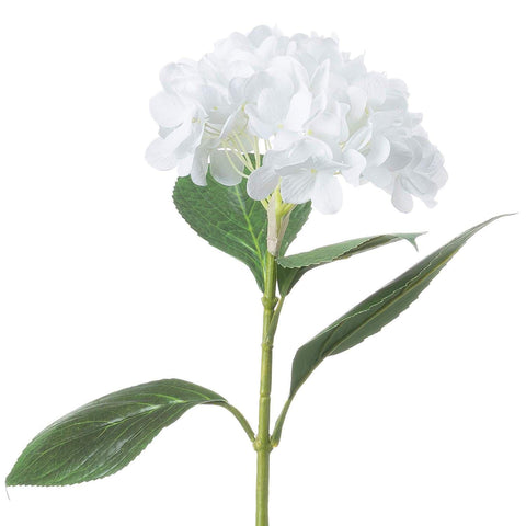 White Classic Hydrangea Accessories Hill Interiors 