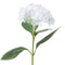 White Classic Hydrangea Accessories Hill Interiors 