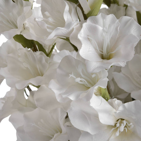 White Gladioli Accessories Hill Interiors 