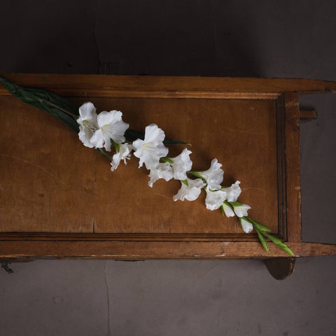 White Gladioli Accessories Hill Interiors 