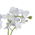 White Orchid In Glass Pot Accessories Hill Interiors 