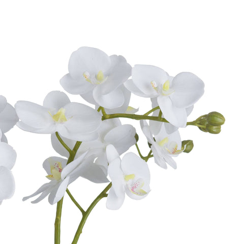 White Orchid In Glass Pot Accessories Hill Interiors 