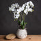 White Orchid In Stone Pot Accessories Hill Interiors 