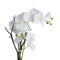 White Orchid In Stone Pot Accessories Hill Interiors 
