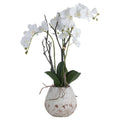 White Orchid In Stone Pot Accessories Hill Interiors 