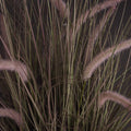 Wild Grass Pot 36 Inch Accessories Hill Interiors 
