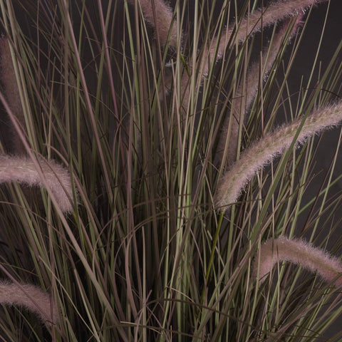 Wild Grass Pot 36 Inch Accessories Hill Interiors 