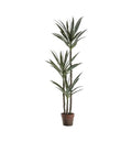 Yucca Tree with 3 Heads Accessories Regency Studio 