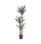 Yucca Tree with 3 Heads Accessories Regency Studio 